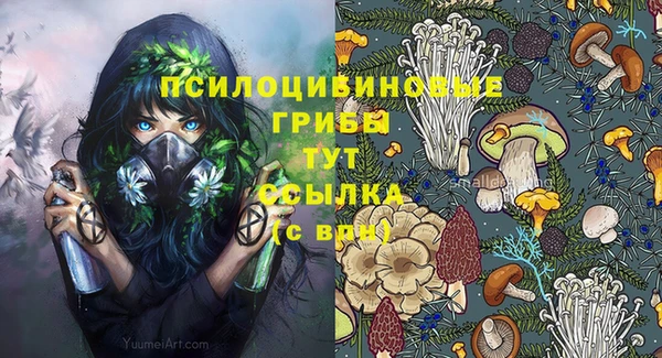 дмт Абдулино