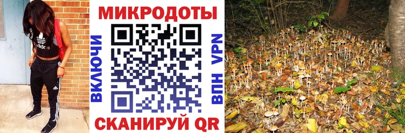 Псилоцибиновые грибы ЛСД  Воронеж 
